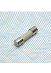 ВП2Т-1Ш  0.16 А, 5*20, "1"