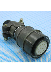 ОНЦ-РГ-09-10/22-Р12