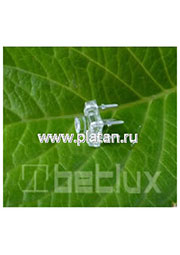 BL-FL7644PGC, Светодиод "Пиранья" зеленый чистый 140  3000мКд 525нМ (Ultra Pure Green)