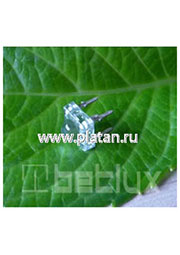 BL-FL7680RGBC-CA, Светодиод "Пиранья" полноцветный RGB 80 400/1200/400мКд