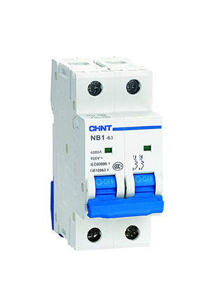 179675, Авт. выкл. NB1-63 2P 25A 6кА х-ка D (DB)