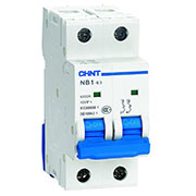 179661, Авт. выкл. NB1-63 2P 25A 6кА х-ка C (DB)