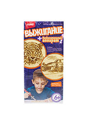 НАБОР ДЛЯ ВЫЖИГАНИЯ (ЛЕОПАРД  АВТОМОБИЛЬ)